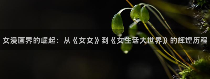 羞羞漫画在线观看页面免费漫画入口