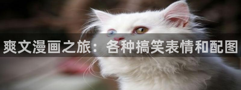 羞羞漫画,在线入口