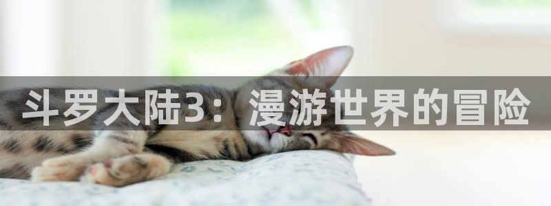 羞羞漫画网站免费入口