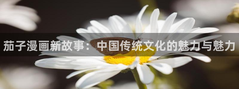 羞羞漫画纲手